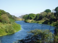 Streams along Puerto Viejo